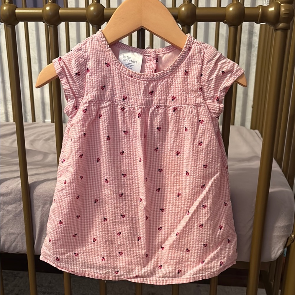 Pink Gingham Lady Bug Dress